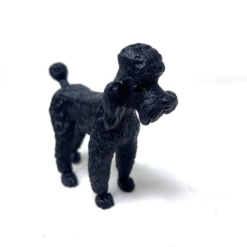 Imperial toy black - imperial, poodle