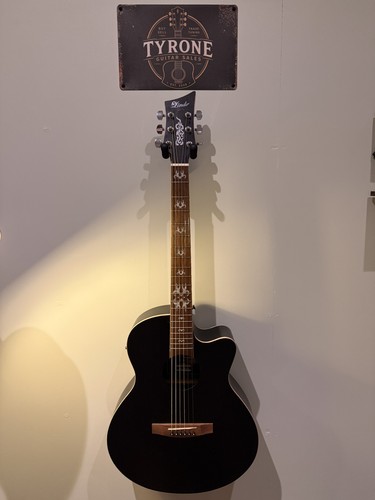 Lindo electro acoustic - electro, guitar