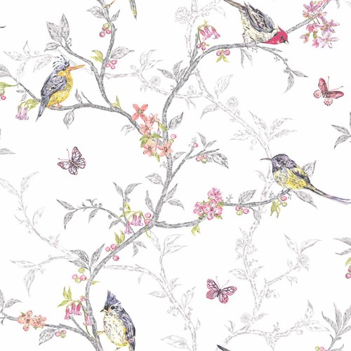 Phoebe birds wallpaper - phoebe,