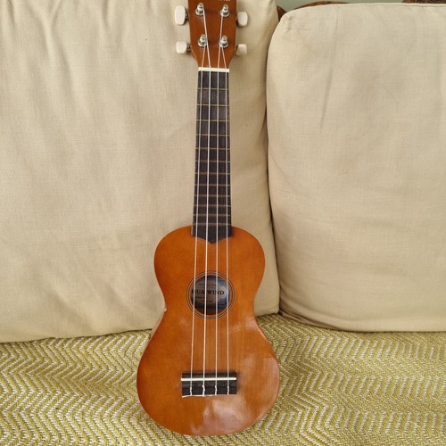 Hua wind soprano - 21”,