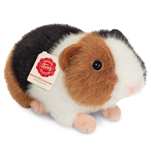 Teddy hermann guinea pig - -,