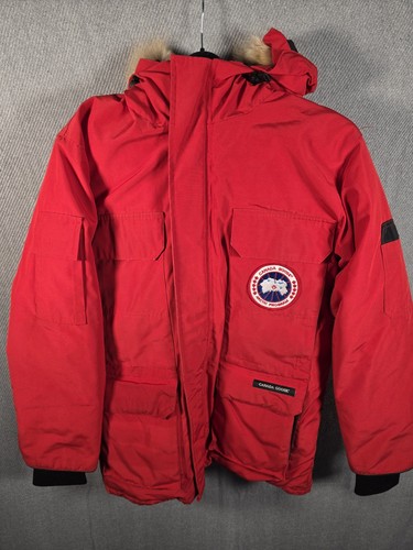 Canada goose arctic program - goose,