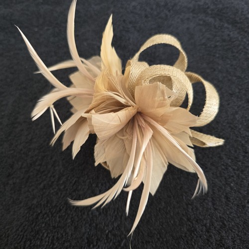 Beige gold feather - &, clip