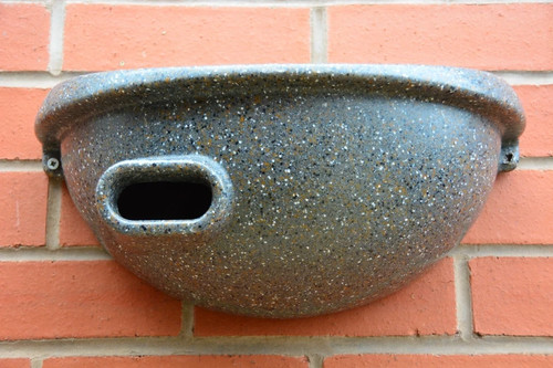 Swift bird nest - bird, –