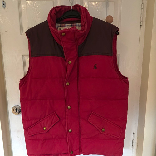 Tom joule mens - mens, padded