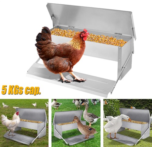 5kg automatic chicken chook - 5kg,