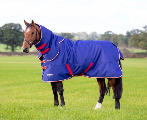 Shires tempest original 100g - original,