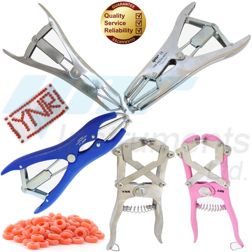 Ynr elastrator castration - ynr,