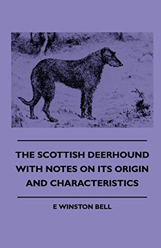 The scottish deerhound with - the,