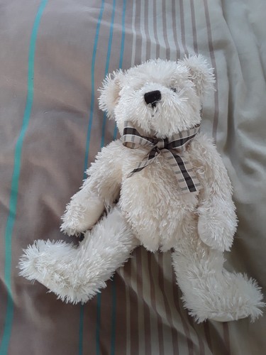 Teddy bear bliss - teddy,