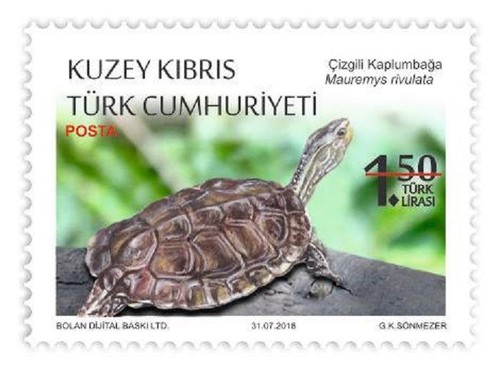2018 protected animals - -,