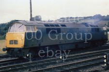 Colour photo (6" x 4")