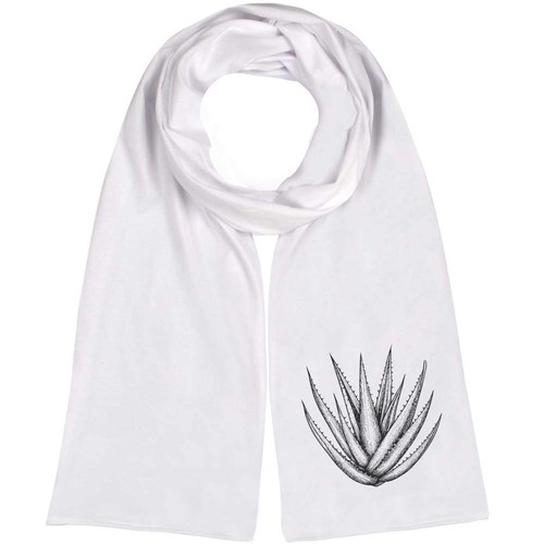 Aloe vera plant - vera, lightweight