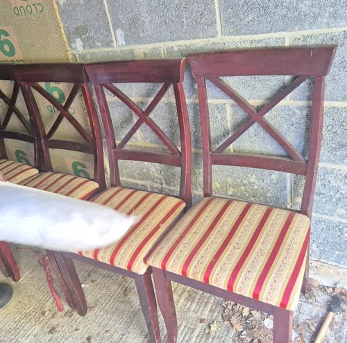 Set wooden back - wooden, dining