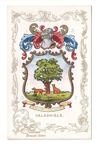 Galashiels selkirkshire old - selkirkshire,