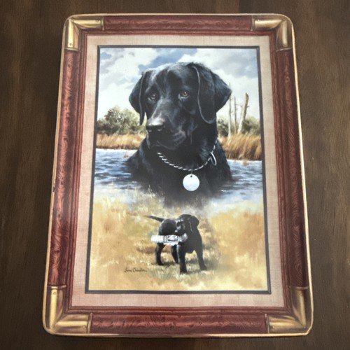 Franklin mint black - mint,