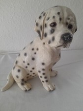 Dalmatian  Puppy Sitting 8