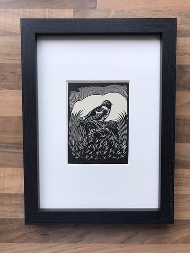 Stonechat framed - ‘stonechat’-,