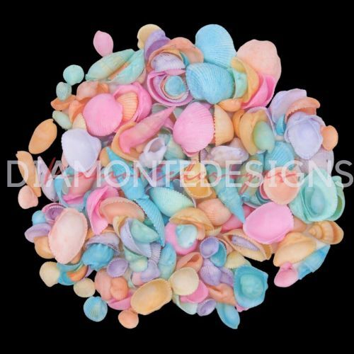 Pastel dyed natural seashells - natural,