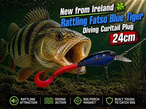 Big perch lure rattling - perch, lure!
