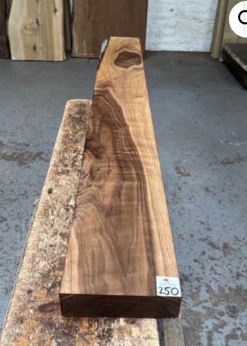 American walnut - walnut, (50mm)
