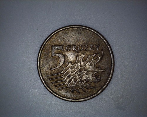 Poland groszy 2008 - 5,