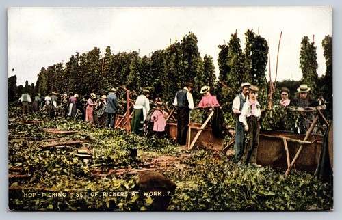 Vintage hop picking set - vintage,