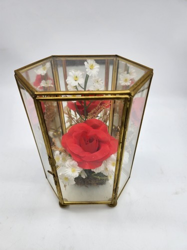 Hexagonal mini curio cabinet - mini,
