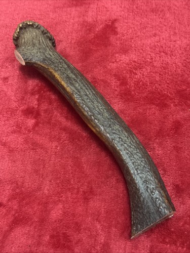 One piece red deer - one, of