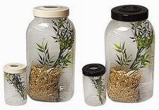 Praying Mantis,Stick Insect Cage,Habitat,Enclosure Egg to Adult Set