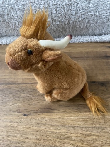 Living nature highland cow - nature,