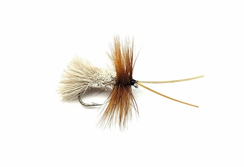 Goddard caddis dry - goddard,