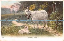 R551543 590 Mothers Pride