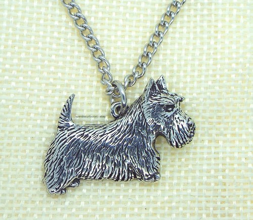 Scottish scottie terrier dog - scottish,