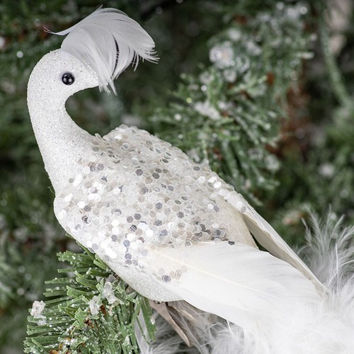 Glittery white peacock - glittery,