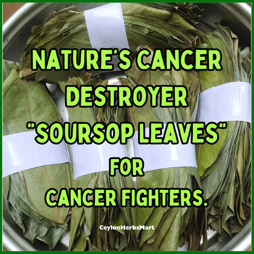 Dried soursop graviola - dried,
