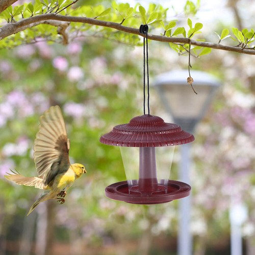 Pigeon proof hanging bird - proof,