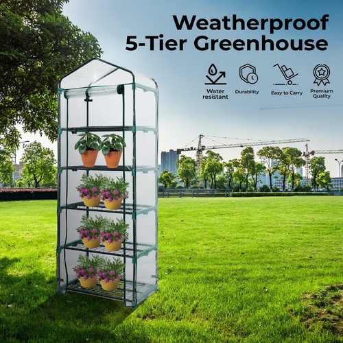 Tier greenhouse tomato - 5-tier, greenhouse,