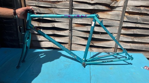 Vintage raleigh bike - vintage,