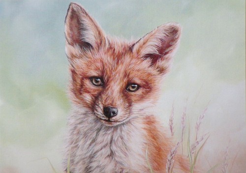 Greeting card - card,