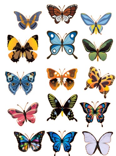Pre cut edible butterflies - edible,