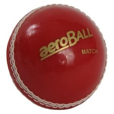 Aero cricket safety - cricket, match