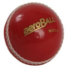 Aero Cricket Safety Ball Match