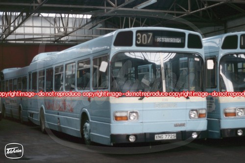Bus photo cambus 230 - -, xng772s