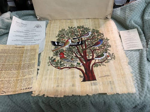 Vintage extra large papyrus - extra,