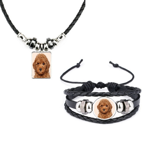Set miniature poodle dog - 2,