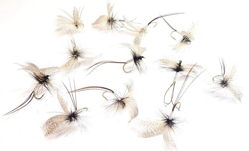 Grey drake fanwing mayfly - fanwing,