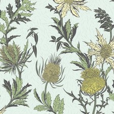 Cole & Son wallpaper 'Thistle'