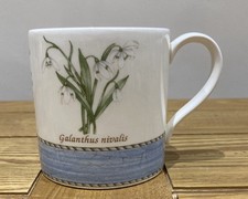 Wedgwood Sarah’s Garden