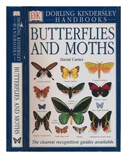 Butterflies And Moths
